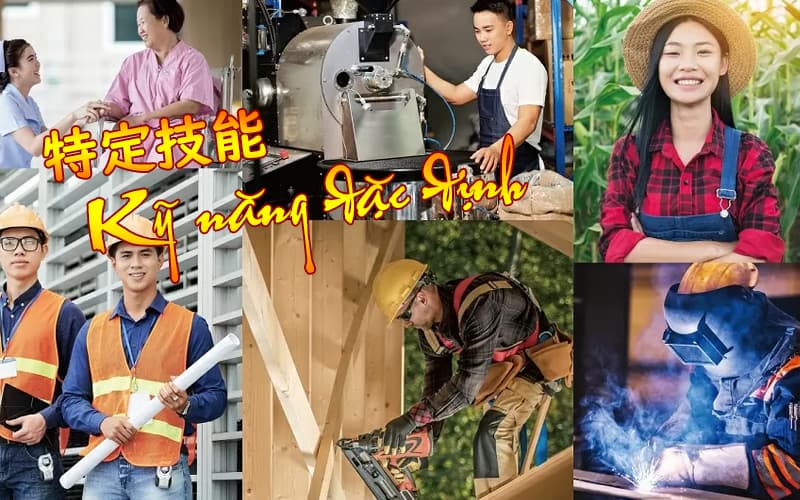 Tokutei là gì? tất tần tật về visa kỹ năng đặc định Nhật Bản