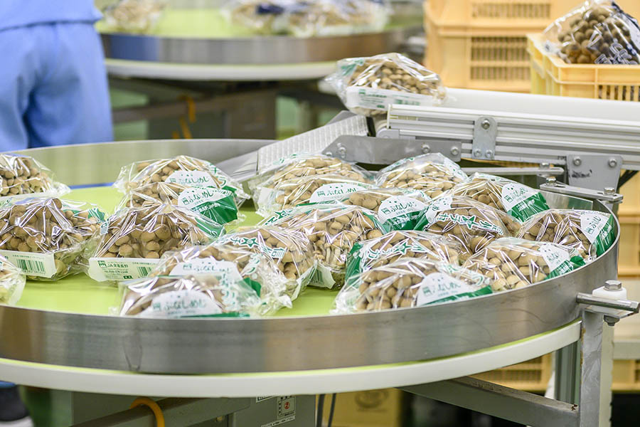 Đóng gói nấm tại Nhật Bản